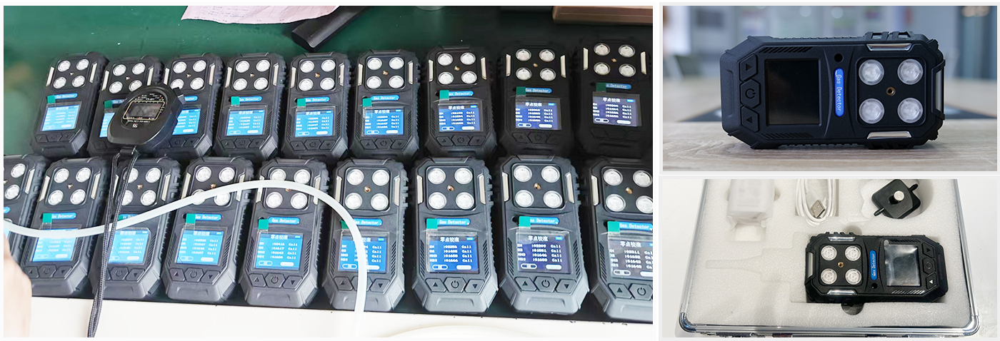 Portable 4-in-1 Gas Detector Plus