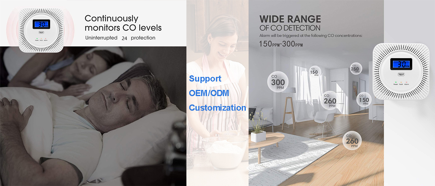 CO CH4 Sensor Alarm Combination Carbon Monoxide