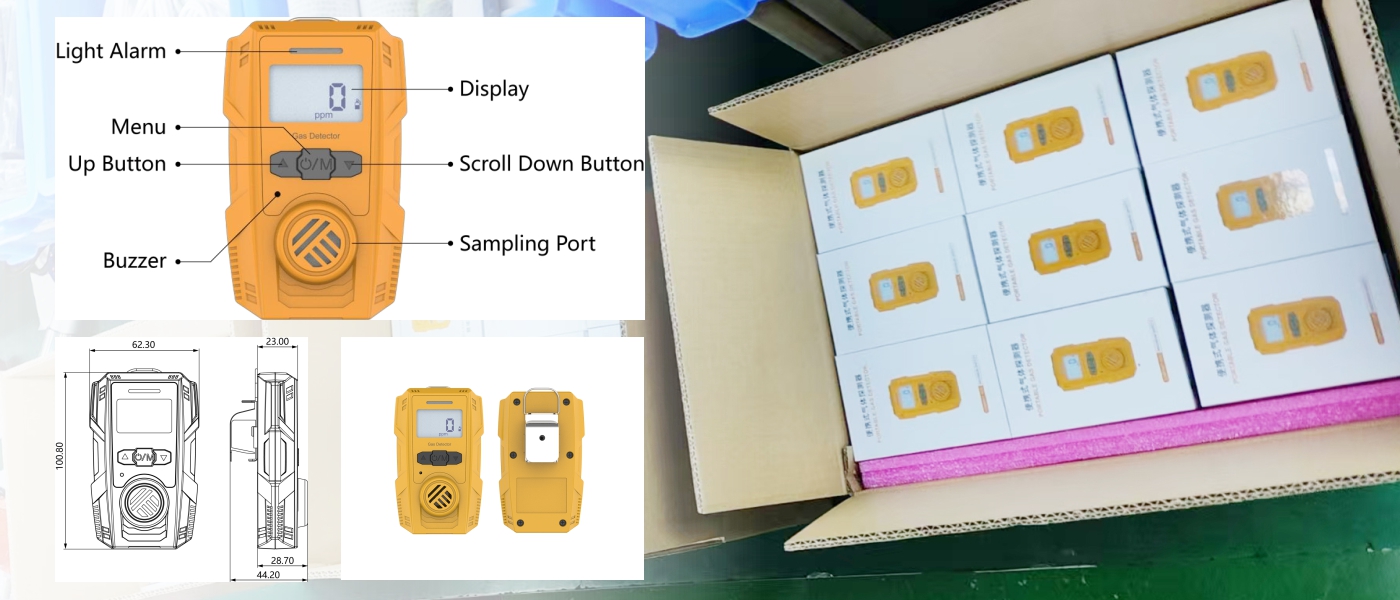 Portable Single Toxic Gas Detector