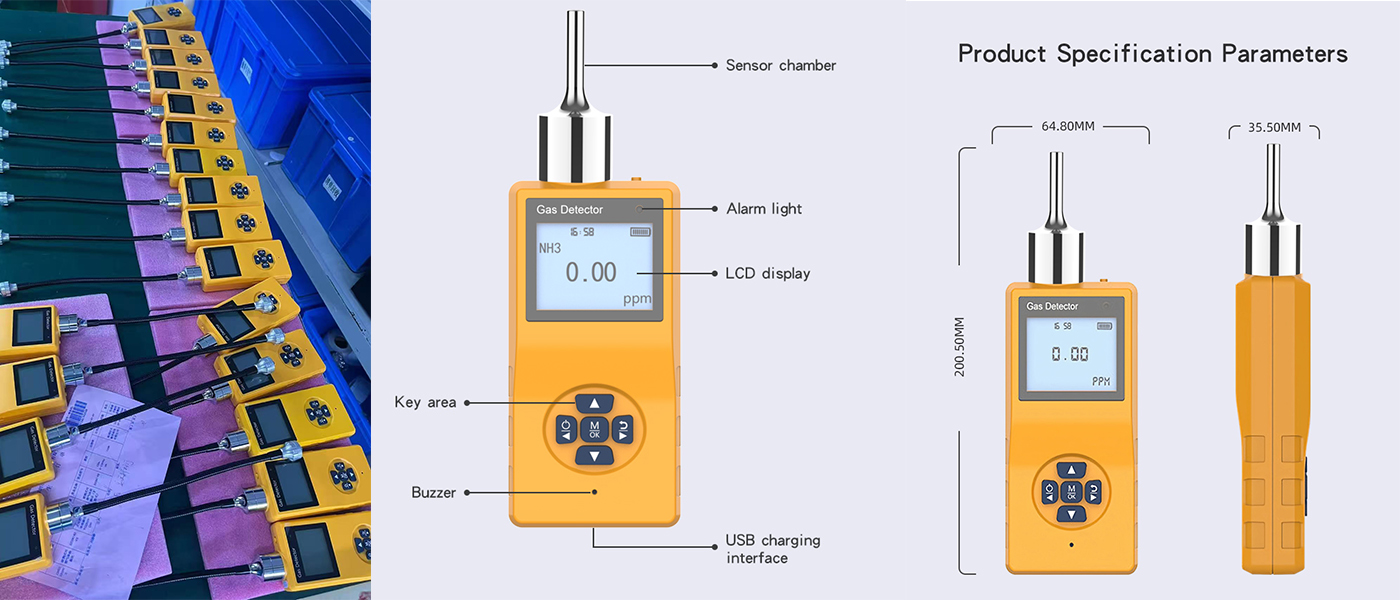 Portable Built-in Pump Single Gas Detector (Plastc Casing)